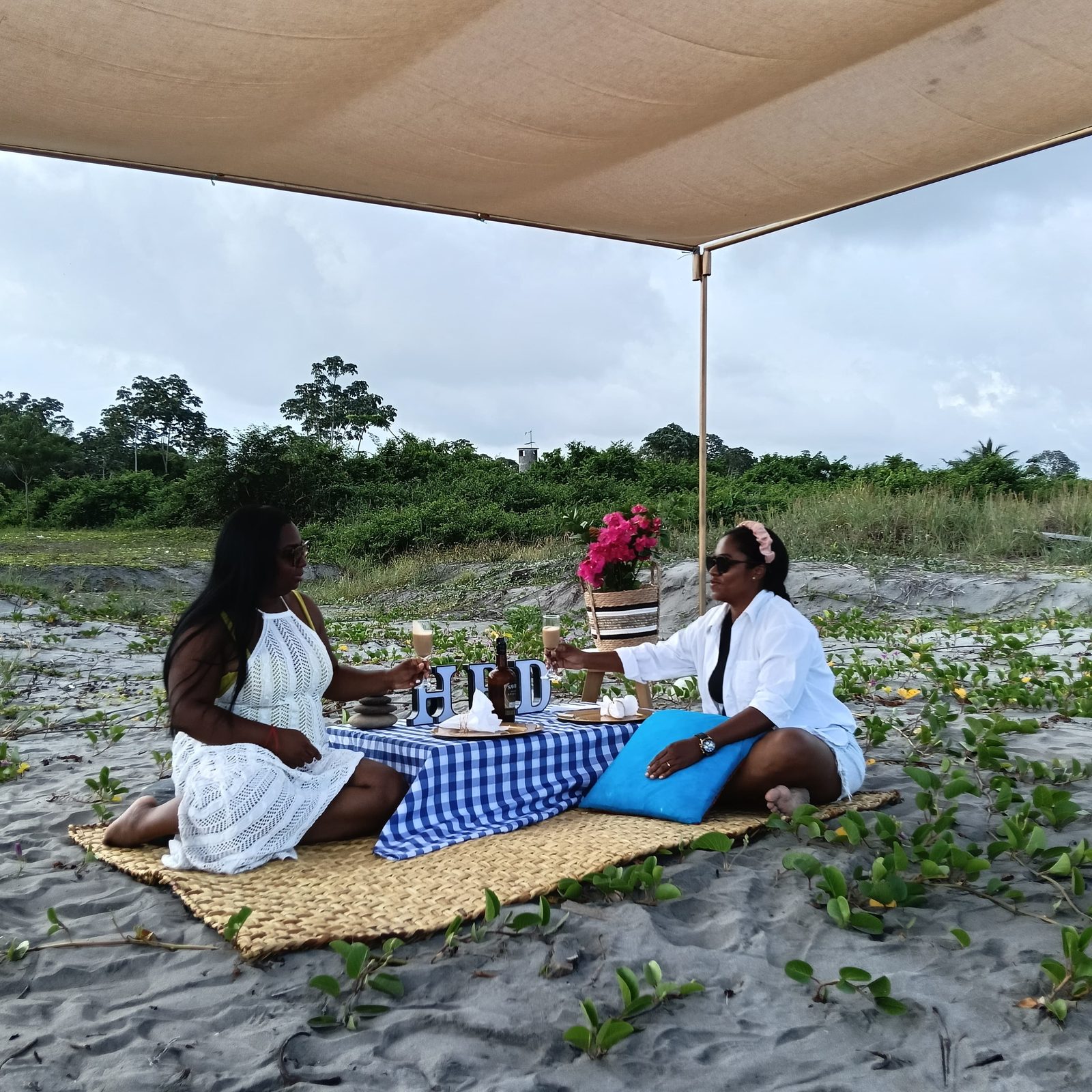 Picnics — 1