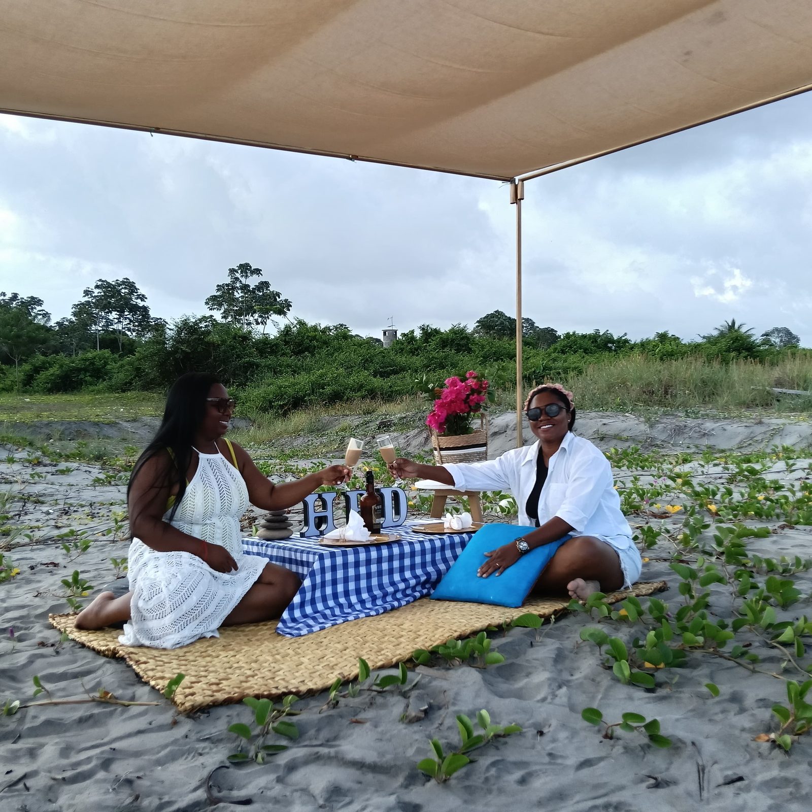 Picnics — 11
