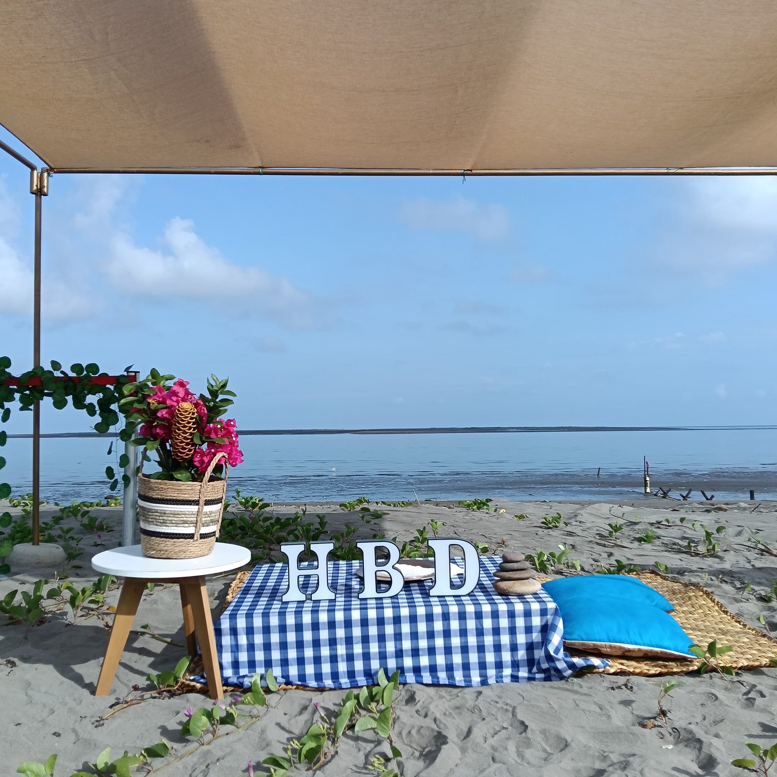 Picnics — 12