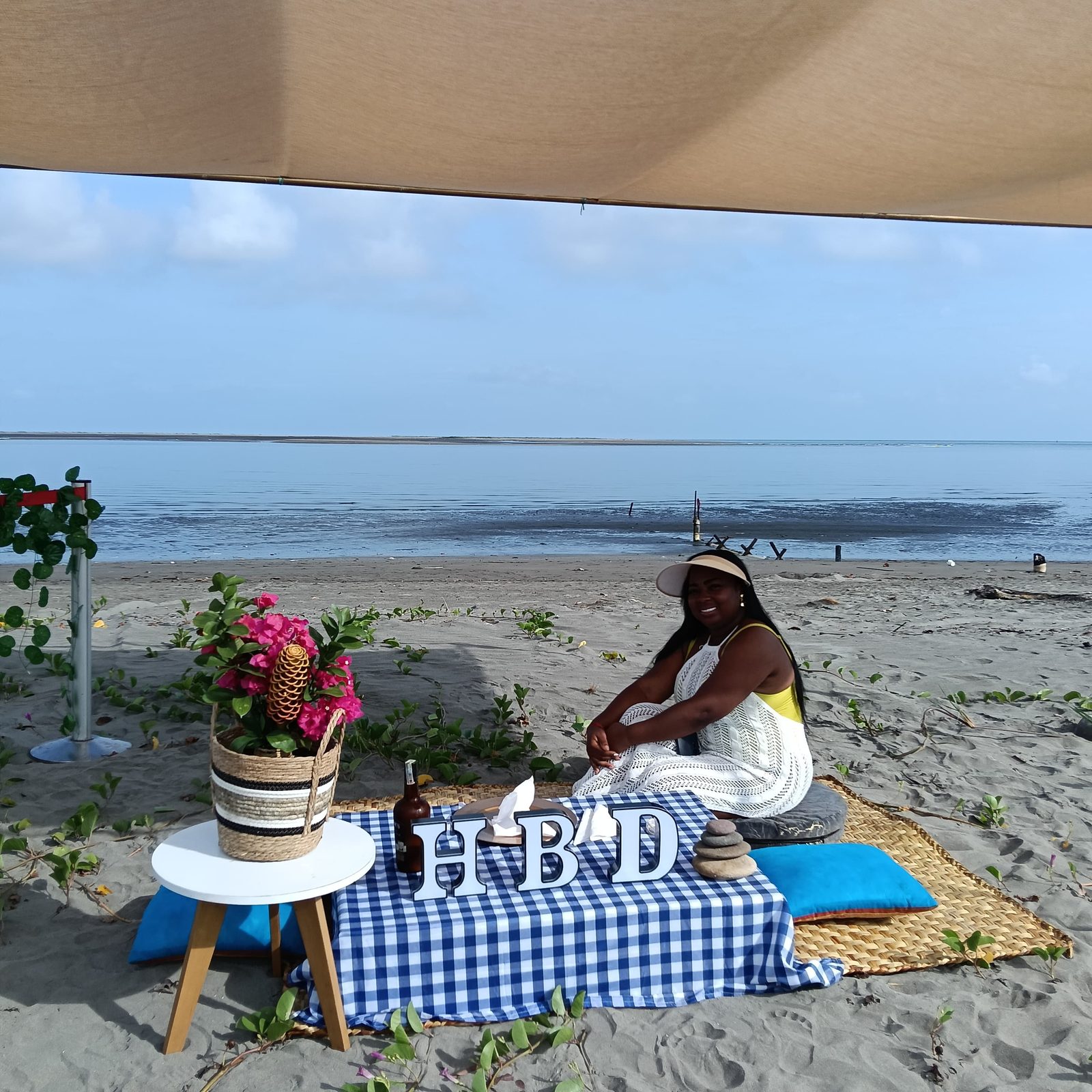 Picnics — 14