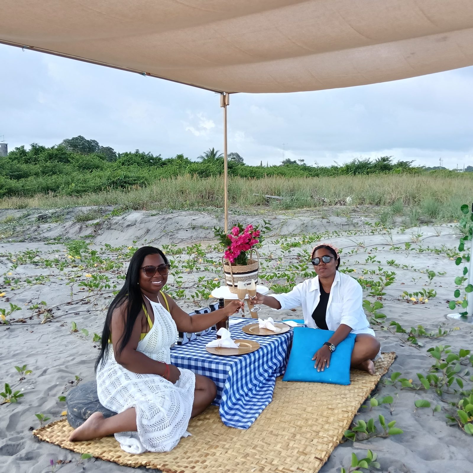 Picnics — 16
