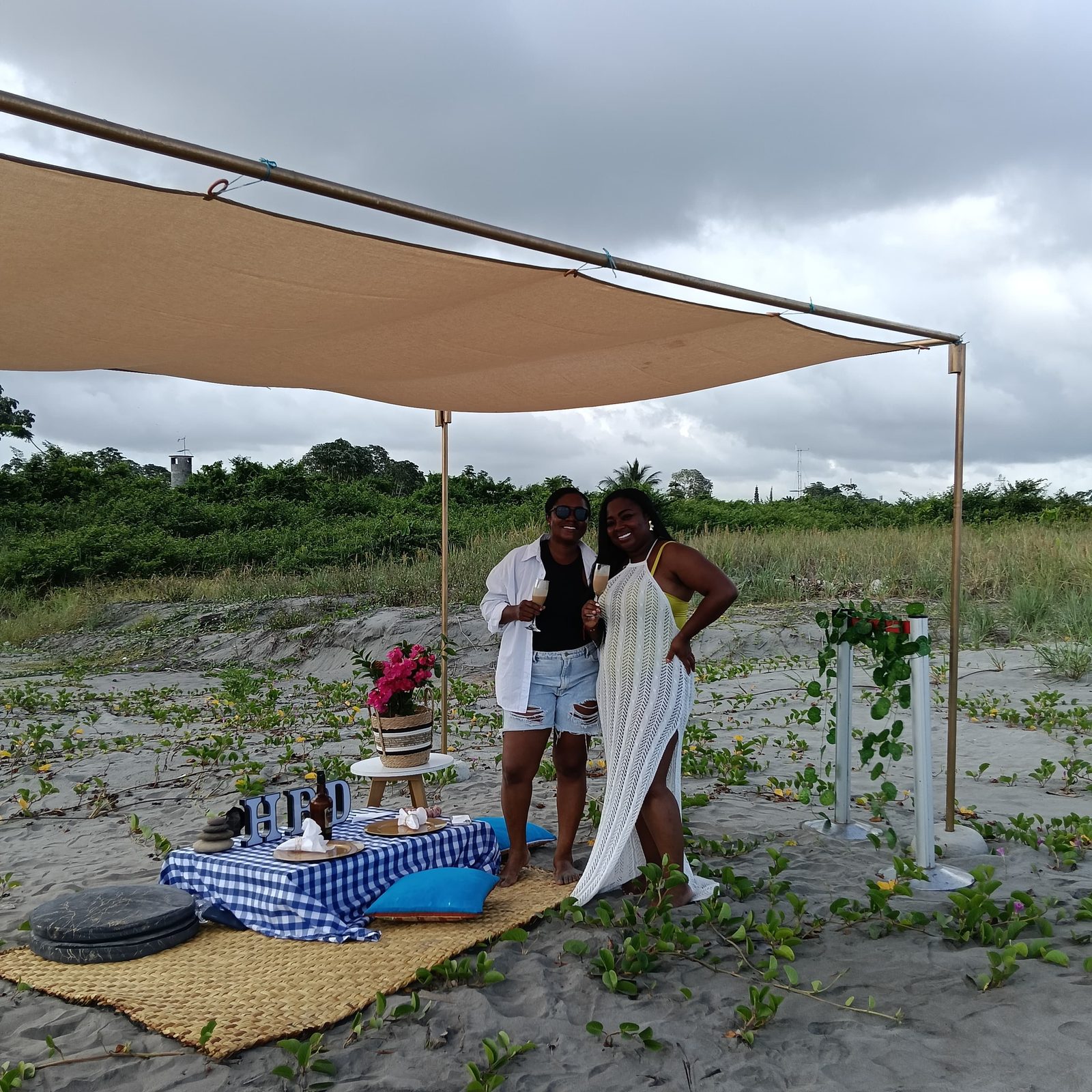 Picnics — 17