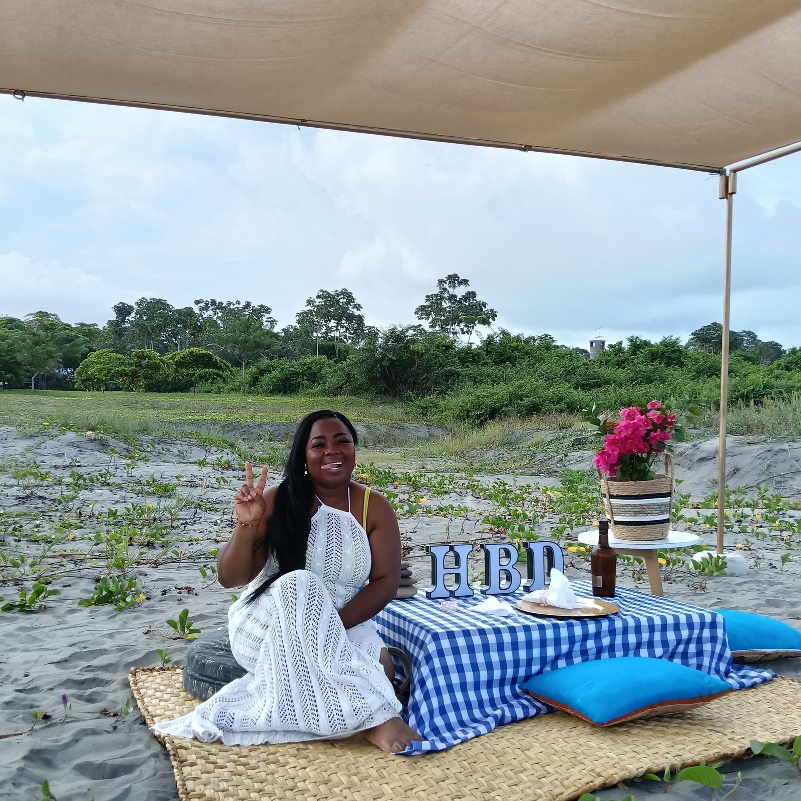 Picnics — 3