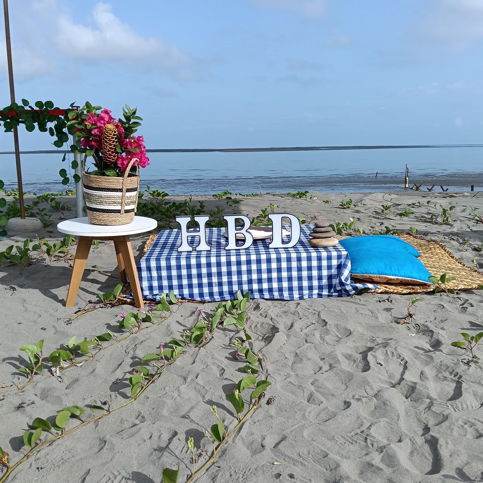 Picnics — 9